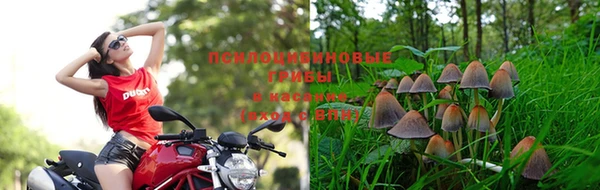 синтетический гашиш Беломорск