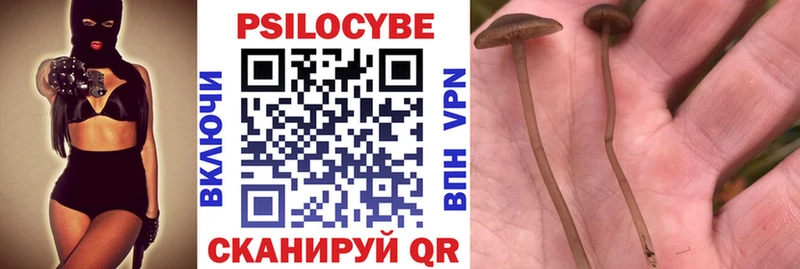 закладка  Обь  Псилоцибиновые грибы MAGIC MUSHROOMS 