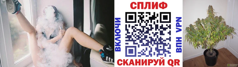 OMG зеркало Обь Канабис сатива